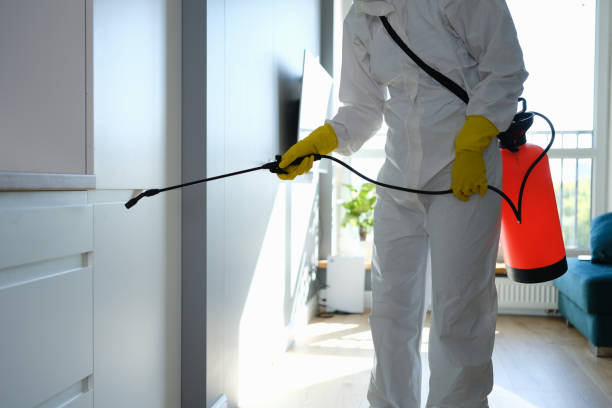 Best Insurance-Related Mold Remediation in Mertzon, TX