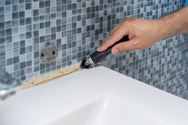 Best Mold Testing and Inspection Services in Mertzon, TX
