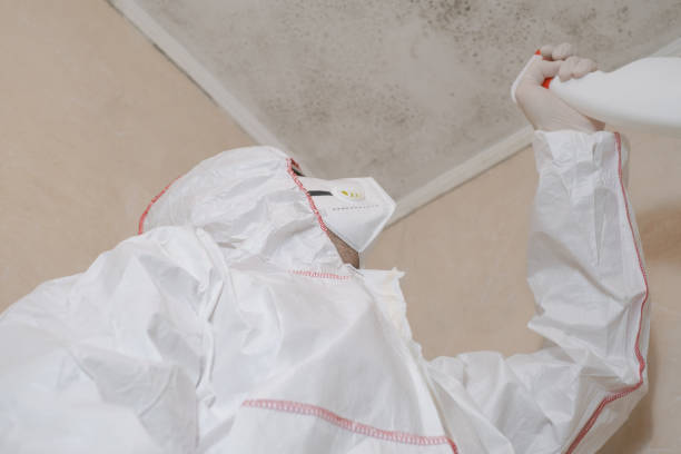 Best Emergency Mold Remediation in Mertzon, TX