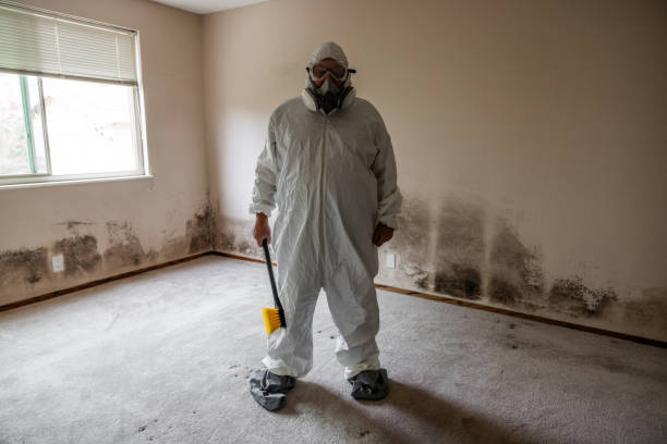 Best Black Mold Remediation in Mertzon, TX
